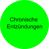 Chronische  Entz�ndungen