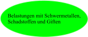Belastungen mit Schwermetallen, Schadstoffen und Giften